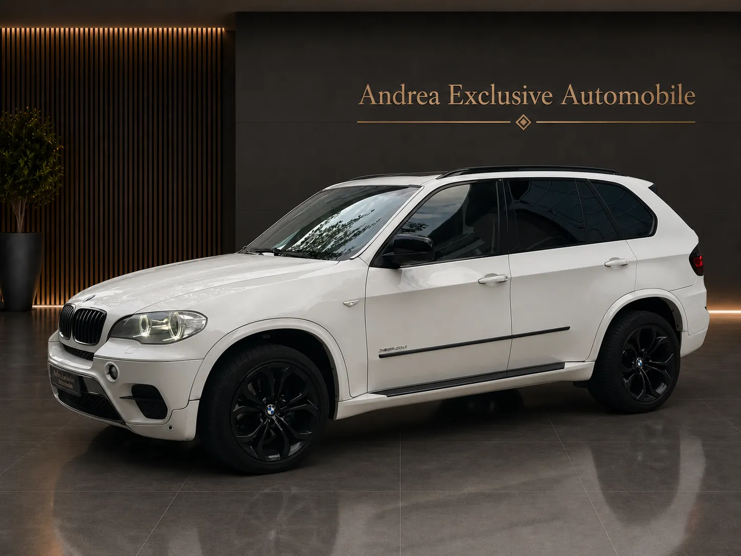 BMW X5 – Bild 7