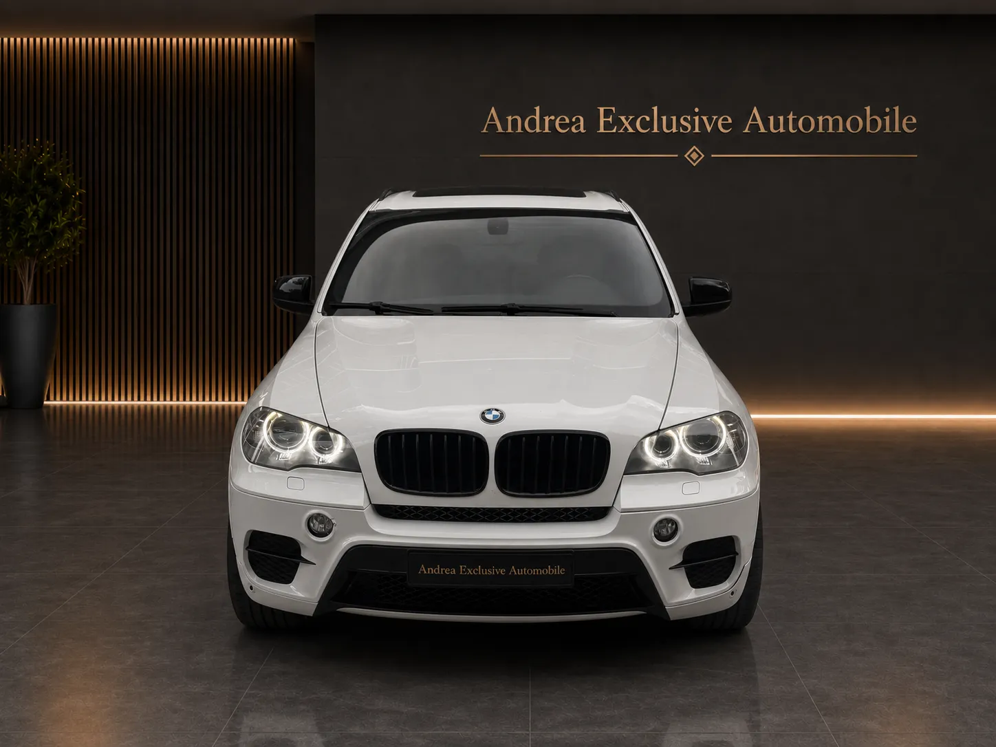 BMW X5 – Bild 3