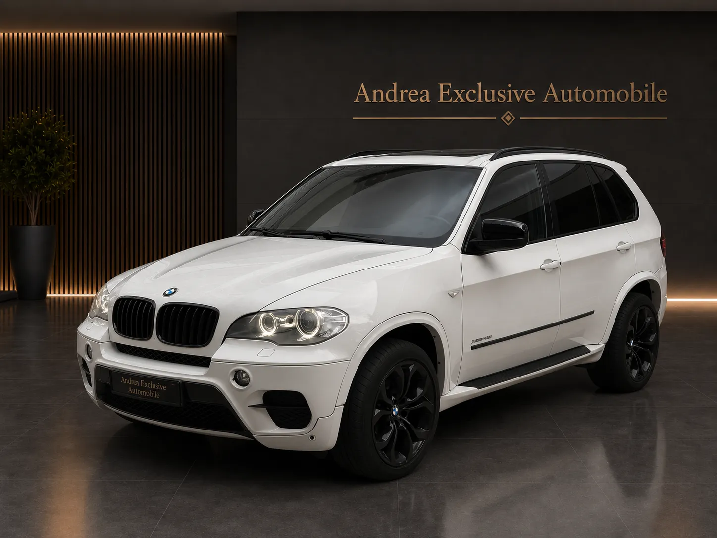 BMW X5 – Bild 2