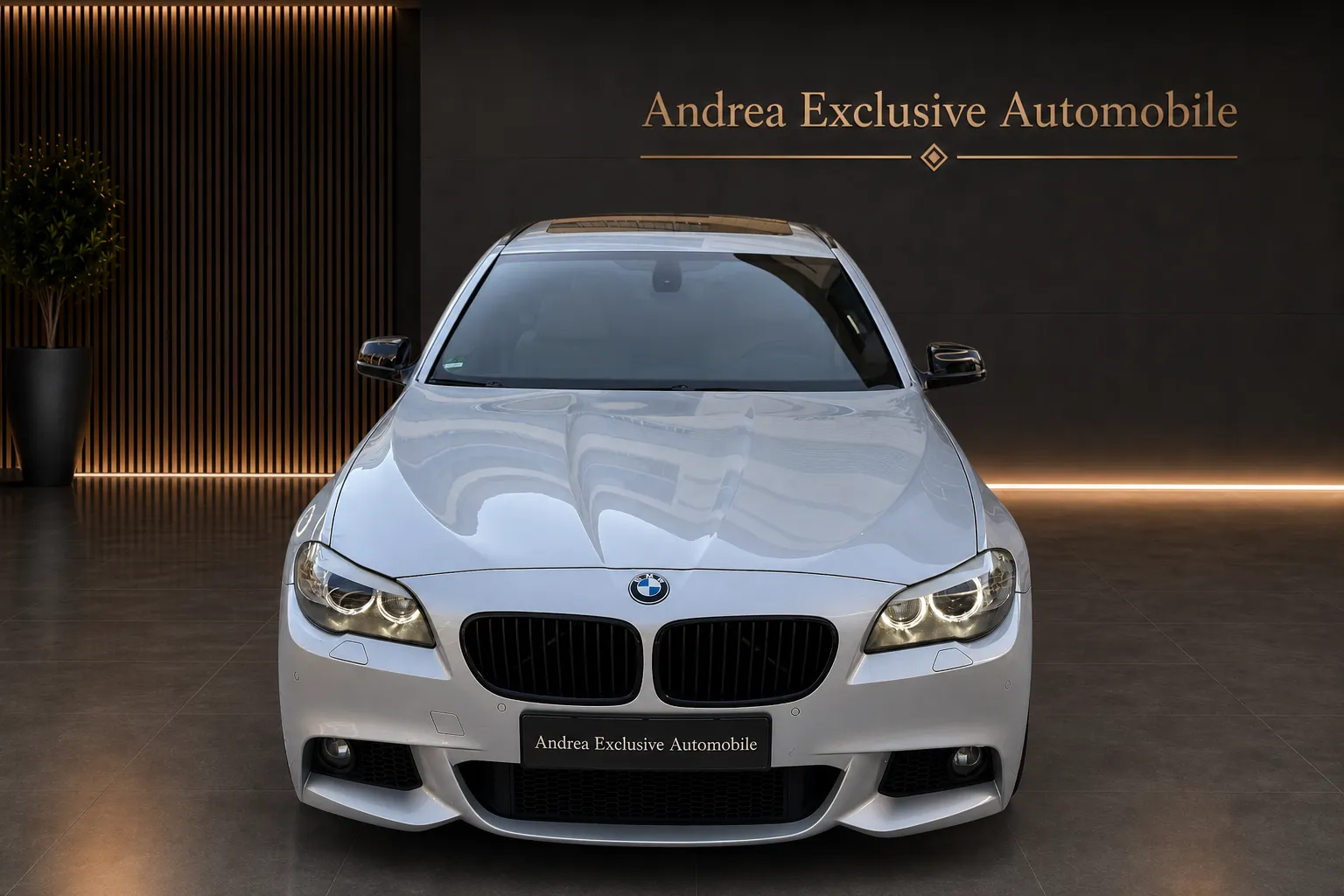 BMW 530 – Bild 5